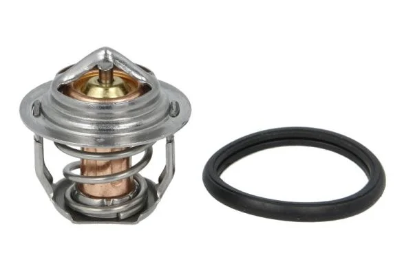 Termostat, chladivo THERMOTEC D2AG024TT