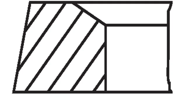 Sada pistnich krouzku MAHLE 50359N0 – OE 91110395600