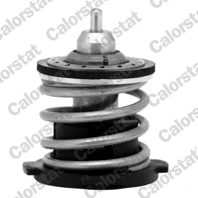 Termostat, chladivo CALORSTAT by Vernet TH7274.80