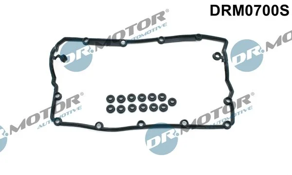 Sada těsnění, kryt hlavy válce Dr.Motor Automotive DRM0700S