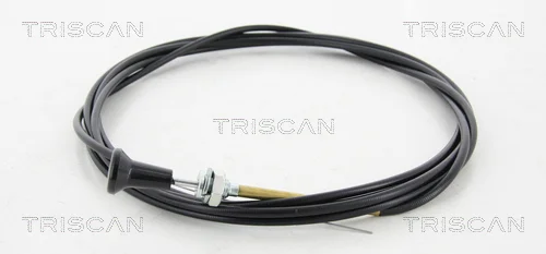 Hřídel vzduchové klapky, karburátor TRISCAN 814091005 Hřídel vzduchové klapky, karburátor TRISCAN 814091005