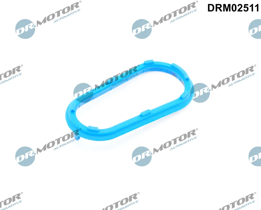 Těsnění, dmychadlo Dr.Motor Automotive DRM02511 – OE 11610020836