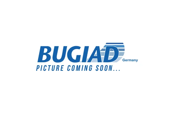 Hadička plnicího vzduchu BUGIAD 82387