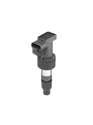 Zapalovací cívka BorgWarner ZSE205